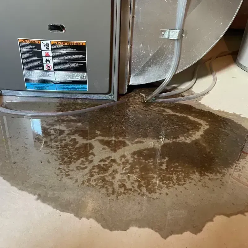 Appliance Leak Cleanup in Sullivan County, MO